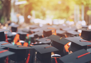 Under Graduate Program